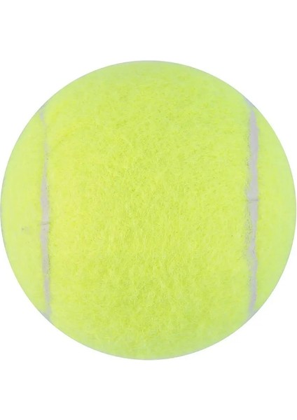 Tenis Stili 1 Adet Yeşil Tenis Topları Spor Turnuvası Açık Eğlenceli Kriket Plaj Köpeği Plaj Kriket Teractice Veya Beachetc Için Ideal (Yurt Dışından) fiyatları