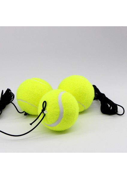 2 Adet Top Stili Ileri Düzey Tenis Antrenörü Ipli Antrenman Antrenmanı Line ile Tenis Genç Antrenman Tenis Topu Aşk Sporları (Yurt Dışından) fırsatları