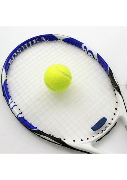 Eğitim Için Tenis Topları 100% Yüksek Li Sentetik Elyaf Si Kauçuk Yarışması Standart Tenis Topları (Yurt Dışından) fiyatları