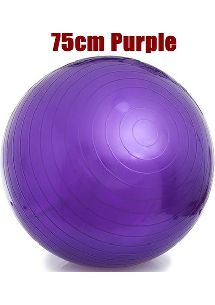 75CM Mor Tarzı 55CM 65CM 75CM Yoga Topu Pvc Kalınlaştırıcı Fitness Topu Yoga Topu Pilates Topu (Yurt Dışından)