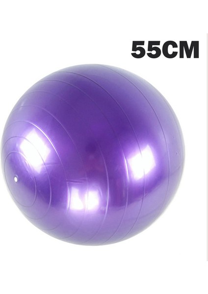 55CM Mor Tarzı Yoga Topları Pilates Fitness Salonu Denge Fitball Egzersiz Egzersiz Topu cm (Yurt Dışından)