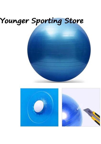 Pembe Tarzı Spor Yoga Topları Anti-Basınç Patlamaya Dayanıklı 25 cm Çaplı Pilates Fitness Balance Fitball Home Gym Pilates Ekipmanları (Yurt Dışından)