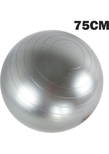 75CM Gri Stil Yoga Topları Pilates Fitness Spor Salonu Denge Fitball Egzersiz Egzersiz Topu (Yurt Dışından)