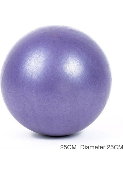 Mor Tarzı Anti-Basınç Patlamaya Dayanıklı Yoga Egzersiz Jimnastik Salonları Yoga 25 cm Çaplı Denge Topu Spor Salonu Ev Eğitim Topu (Yurt Dışından)
