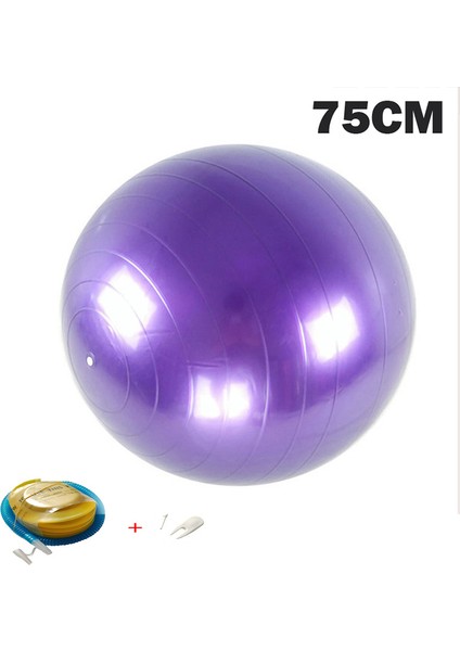 75CM Mor Tarzı Yoga Topları Pilates Fitness Salonu Masaj Noktası Denge Fitball Egzersiz Egzersiz Topu cm Pompalı (Yurt Dışından)
