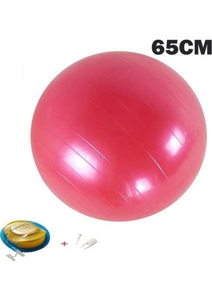 75CM Mor Tarzı Yoga Topları Pilates Fitness Salonu Masaj Noktası Denge Fitball Egzersiz Egzersiz Topu cm Pompalı (Yurt Dışından)