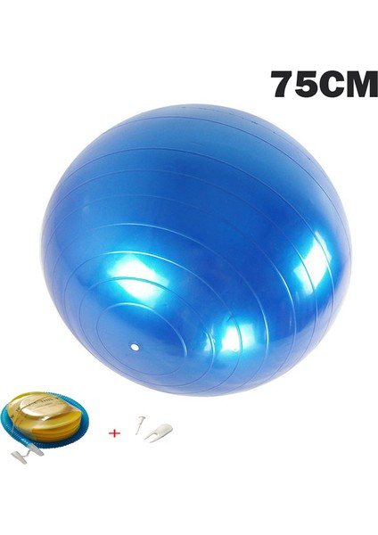 75CM Mor Tarzı Yoga Topları Pilates Fitness Salonu Masaj Noktası Denge Fitball Egzersiz Egzersiz Topu cm Pompalı (Yurt Dışından)
