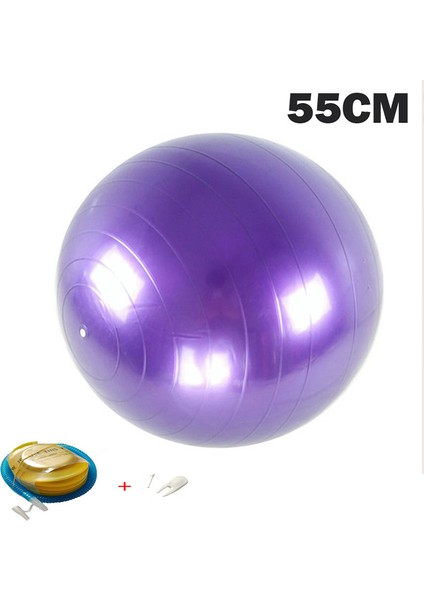 75CM Mor Tarzı Yoga Topları Pilates Fitness Salonu Masaj Noktası Denge Fitball Egzersiz Egzersiz Topu cm Pompalı (Yurt Dışından)