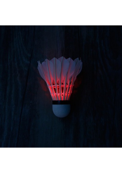 4ADET Karanlık Gece Renkli LED Badminton Raketle Kuşlar Aydınlatma Tüy 425E (Yurt Dışından)