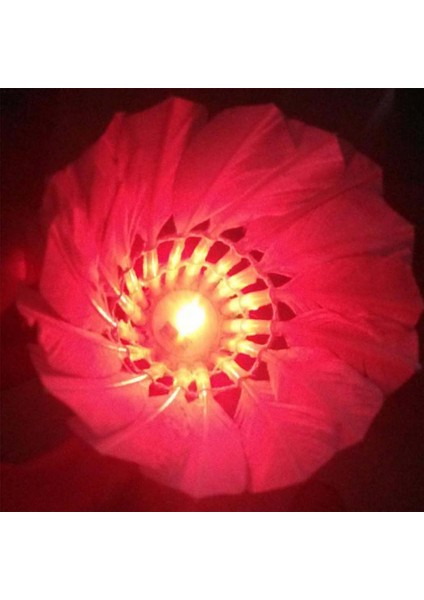 4 Adet Tarzı LED Badminton Raketle Aydınlatma Birdies Raketle Açık Spor Aktiviteleri Için Parlayan Badminton (Yurt Dışından)