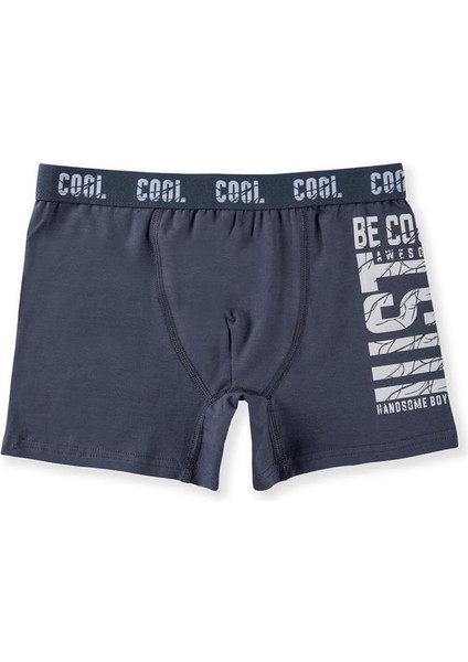 Erkek Çocuk Pamuklu Baskılı Rahat Kesim Likralı Boxer 3051 Renkli fiyatları