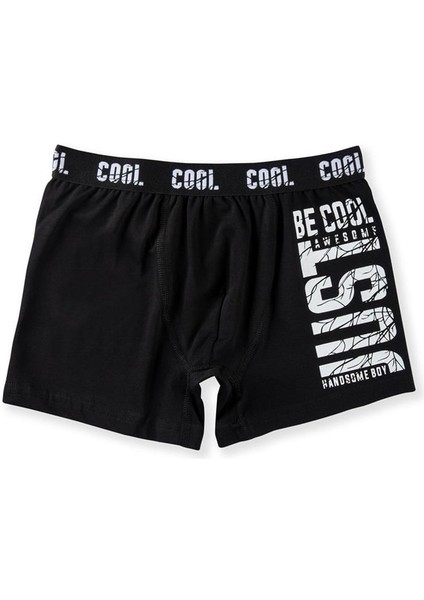 Erkek Çocuk Pamuklu Baskılı Rahat Kesim Likralı Boxer 3051 Renkli modelleri