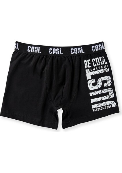 Erkek Çocuk Pamuklu Baskılı Rahat Kesim Likralı Boxer 3051 Renkli modelleri