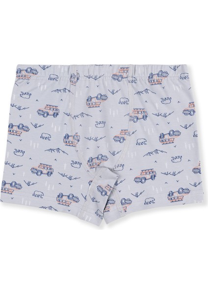 Erkek Çocuk Pamuklu Baskılı Rahat Kesim Likralı Boxer 3'lü Paket 3428 Renkli fırsatları