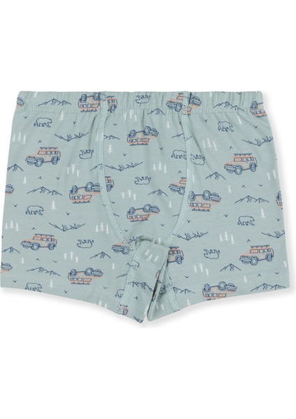 Erkek Çocuk Pamuklu Baskılı Rahat Kesim Likralı Boxer 3'lü Paket 3428 Renkli indirimleri