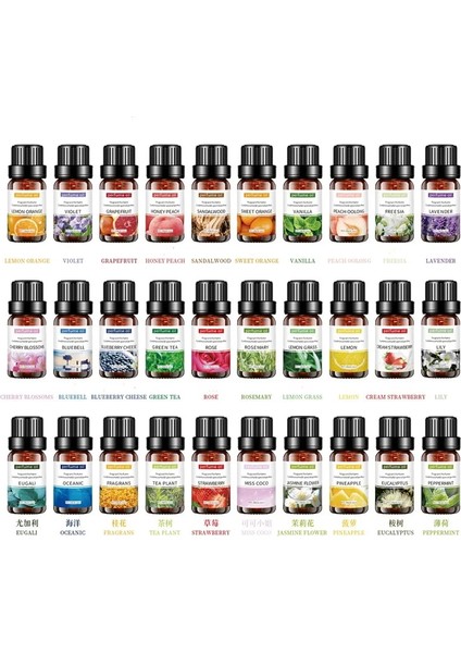 Lavanta Tarzı 10ML Saf Doğal Bitki Difüzör Uçucu Yağlar Brülör Aromalı Uçucu Yağ Okaliptüs Vanilya Nane Lavanta Gül Çay Ağacı Yağı (Yurt Dışından)