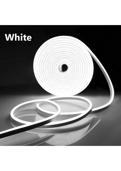 3m Tarzı Beyaz Neon Flex LED Işık Şeridi Priz ile Mutlu Doğum Günü Düğün Gelin Olmak Neon Burcu Pembe Işık Bebek Oda Duvar Dekoru (Yurt Dışından)