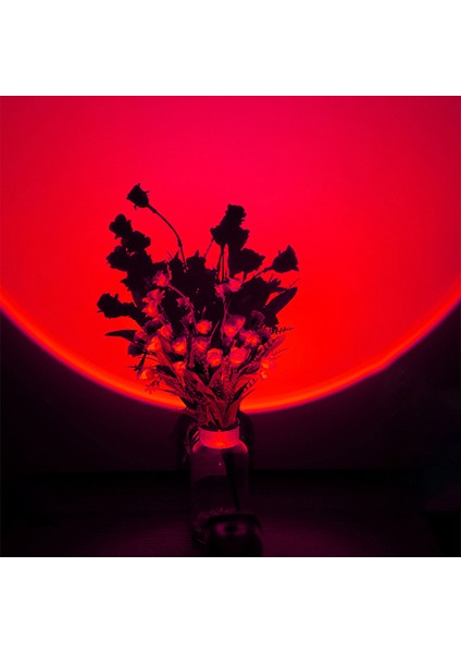 Tek Renkli Romantik Gün Batımı Projektör Lambası USB Tiktok Atmosfer Lambası LED Gece Lambası Yatak Odası Kahve Mağazası Canlı Duvar Dekorasyon Işık (Yurt Dışından)