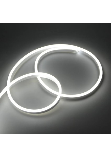 6m Tarzı Pembe Neon Flex LED Işık Şeridi Priz ile Mutlu Doğum Günü Düğün Gelin Olmak Neon Burcu Pembe Işık Bebek Oda Duvar Dekoru (Yurt Dışından)