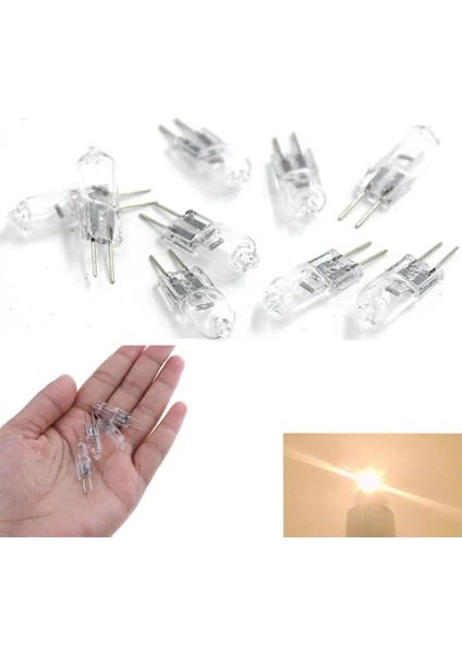 Lot En Li Halojen G4 Ampul Dc 12V Tipi G4 Halojen Lambalar Işıklar 20W Ev Dekoru Için Bir Iç Kutu ile Her Ampulü Temizle (Yurt Dışından)