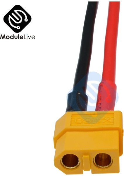 Kadın Tarzı Et XT60 Erkek Dişi Pil Konektörü Dişi Erkek Fiş Silikon 14 Awg Tel Yüksek (Yurt Dışından)