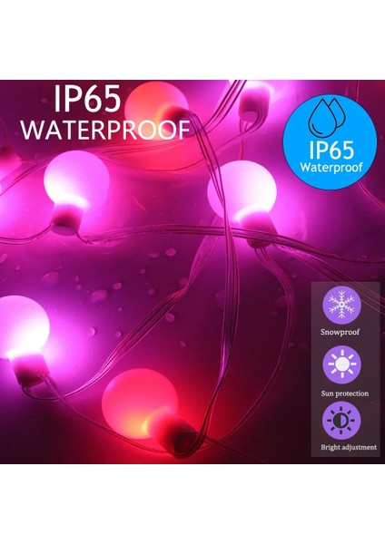 60LED Tarzı Mor DC5V WS2812B Rüya Renkli Rgb LED Yuvarlak Top Dize Işıklar Noel Partisi Doğum Günü Dekorasyon Bireysel Olarak Adreslenebilir IP67 (Yurt Dışından)