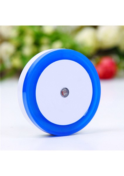 Yuvarlak-Mavi Rnntuu LED Gece Lambası Mini Işık Sensörü Kontrolü 110 V 220 V Ab Abd Plug Gece Lambası Çocuklar Çocuklar Için Oturma Işıkları (Yurt Dışından)