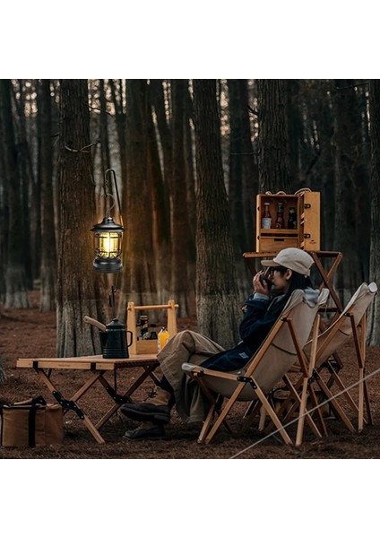 Cd-Rd Yeni Kamp Lambası Açık Çok Fonksiyonlu Kamp Çadır Lambası Şarj Edilebilir Retro Taşınabilir At Lambası Lityum Pil Lanterne (Yurt Dışından)