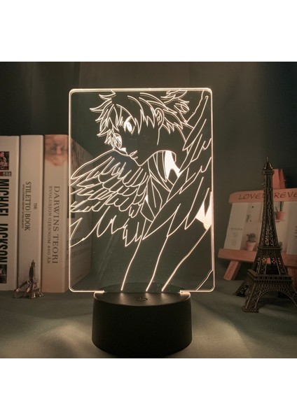 DM109 Tarzı DM149 Akrilik LED Gece Lambası Anime Haikyuu Shoyo Hinata Şekil Çocuklar Için Yatak Odası Dekoru Gece Lambası Serin Manga Gadget Çocuk Masa Lambası (Yurt Dışından)
