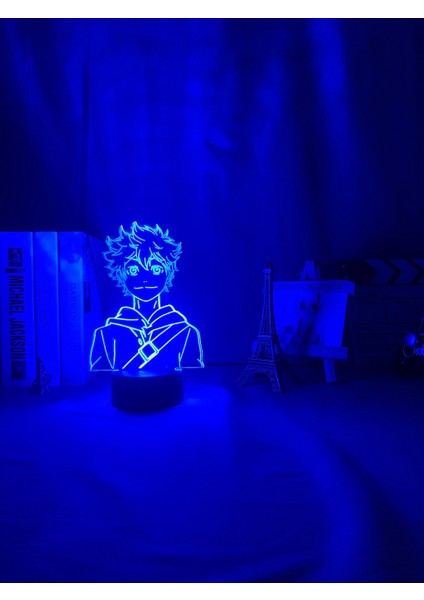 DM109 Tarzı DM149 Akrilik LED Gece Lambası Anime Haikyuu Shoyo Hinata Şekil Çocuklar Için Yatak Odası Dekoru Gece Lambası Serin Manga Gadget Çocuk Masa Lambası (Yurt Dışından) indirimleri