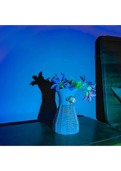 Tek Renkli Günbatımı Projektör Lambası USB Tiktok Atmosfer Lambası Romantik LED Gece Lambası Yatak Odası Kahve Mağazası Canlı Duvar Dekorasyonu (Yurt Dışından)