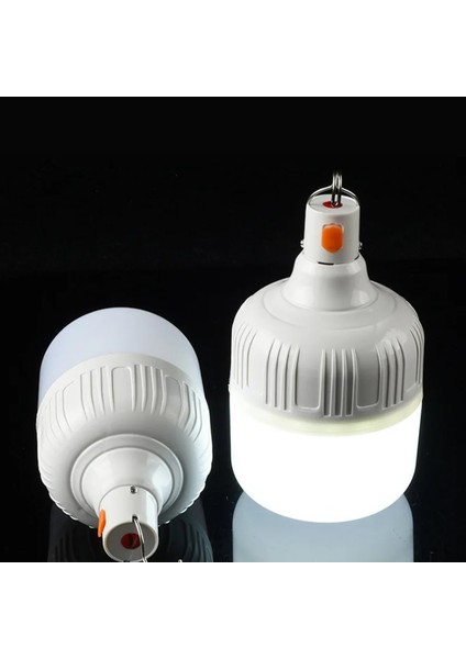 30W Taşınabilir Acil Durum Işıkları Kanca ile Açık USB Şarj Edilebilir Mobil LED Lamba Ampuller Balıkçılık Kamp Veranda Sundurma Bahçe Aydınlatma (Yurt Dışından) modelleri