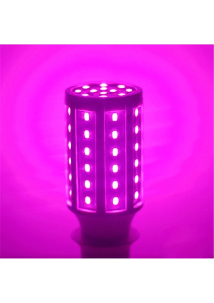 20W Tarzı Kırmızı E14 E27 B22 LED Mısır Işık Kırmızı Pembe Mavi Yeşil Sarı Ampul 5W 10W 15W 30W 60W 80W 100W 110V 220V Lamba Enerji Tasarruflu Ampul (Yurt Dışından)