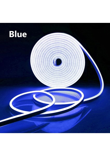 6m Tarzı Mavi Neon Flex LED Işık Şeridi Priz ile Mutlu Doğum Günü Düğün Gelin Olmak Neon Burcu Pembe Işık Bebek Oda Duvar Dekoru (Yurt Dışından)