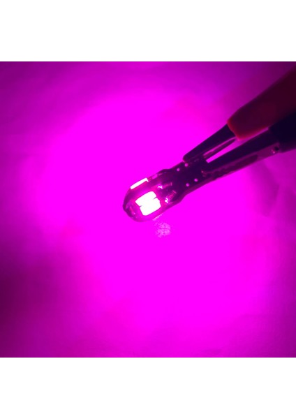 20 Adet Tarzı Pembe Pcs W5W T10 LED Ampuller Canbus Smd 12V 6000K LED Araç Iç Harita Kubbe Işıkları Park Lambası Otomatik Sinyal Lambası (Yurt Dışından)