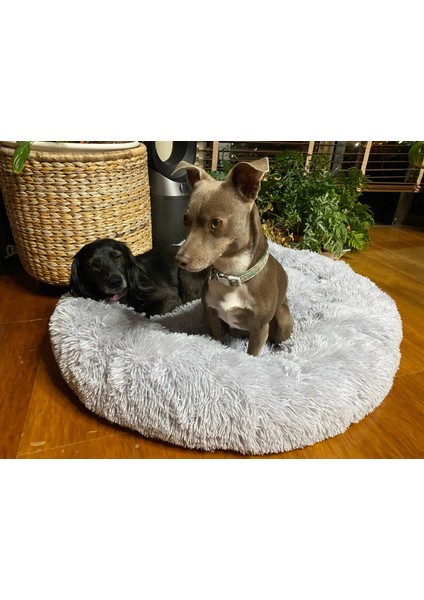 Açık Yeşil Tarzı 50CM Peluş Küçük Köpek Yatağı Köpek Kumu Kittenpuppy Yastık Sakinleştirici Yataklar Yuvarlak Kulübesi Bulldog Mat Pet Köpekler Yatak Pet Ürün Aksesuarları (Yurt Dışından) fırsatları