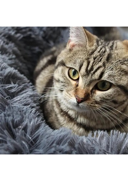 Koyu Gri Tarzı S-50CM Pet Yatak Köpek Kedi Yuvarlak Sıcak Uyku Mat Uzun Peluş Köpek Yastık Taşınabilir Kedi Malzemeleri Kediler Yuva Kanepe Köpek Aksesuarları (Yurt Dışından) modelleri