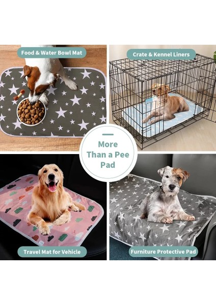 Pet Mat 1 Tarzı M 70X50CM Pet Mat Idrar Emici Su Geçirmez Eğitim Pedi Yıkanabilir Pet Pee Pad Köpek Yavrusu Için Yeniden Kullanılabilir Bezi Araba Koltuğu Kapağı Köpek Yatağı (Yurt Dışından) indirimleri