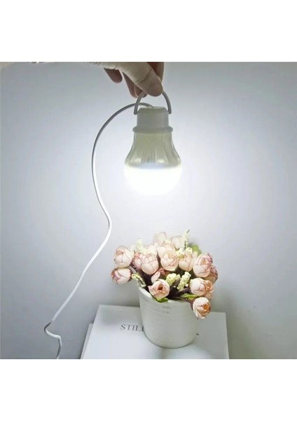 3W-2PC 2 Adet Mini Draagbare Gloeilamp Açık Çok Fonksiyonlu Lantaarn USB Oplaadbare Kamp Güç Bankası Çadır LED Işık Kamp Wandelen (Yurt Dışından) indirimleri