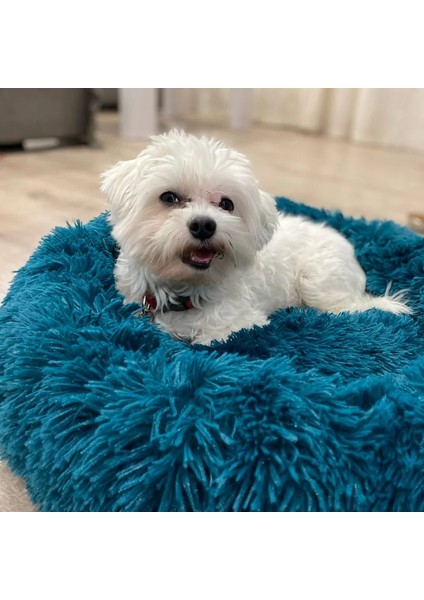 Açık Yeşil Stil 30CM Uzun Peluş Kabarık Pet Köpek Yatağı Claming Köpek Yatakları Donut Yuvarlak Kedi Köpek Tezgahı Yumuşak Sıcak Chihuahua Kulübesi Büyük Mat Pet Malzemeleri (Yurt Dışından) modelleri