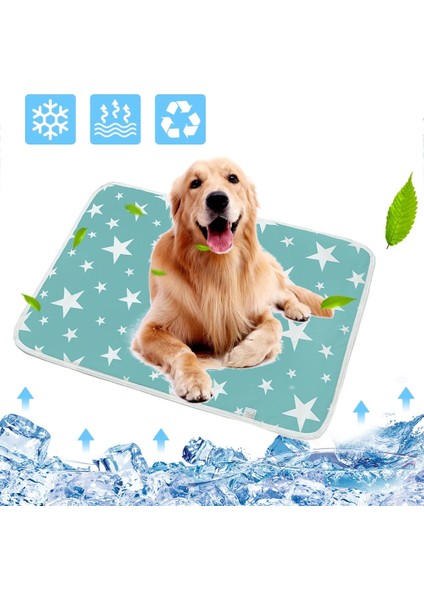 No.2 Tarzı 35X45CM Köpek Pet Bezi Mat Idrar Emici Çevre Korumak Bezi Mat Su Geçirmez Yeniden Kullanılabilir Eğitim Pedi Köpek Araba Koltuğu Kapağı Köpek Yatağı (Yurt Dışından)