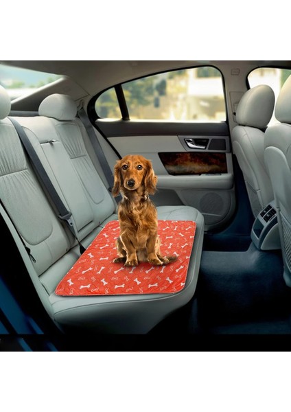 5 Stili Yazın 80X90CM Yıkanabilir Kedi Köpek Pet Bebek Bezi Mat Köpek Için Pet Kedi Yatak Idrar Korumak Bezi Mat Su Geçirmez Yeniden Kullanılabilir Eğitim Pedi Araba Koltuğu Kapakları (Yurt Dışından)