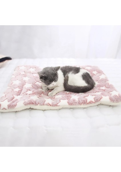 Gri Ayı Stili Xl6 Kedi Yatak Mat Köpek Yatağı Pet Uyku Mat Kış Sıcak Yumuşak Flanel Kuzu Yün Battaniye Halı Küçük Büyük Köpek Kedi Için Çift Taraflı Kullanım (Yurt Dışından) modelleri