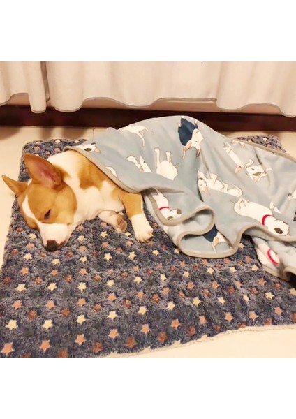 Gri Ayı Stili Xl6 Kedi Yatak Mat Köpek Yatağı Pet Uyku Mat Kış Sıcak Yumuşak Flanel Kuzu Yün Battaniye Halı Küçük Büyük Köpek Kedi Için Çift Taraflı Kullanım (Yurt Dışından) fırsatları