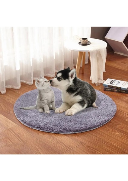 Kısa Saç B Tarzı Pet Elektrikli Mat Köpek Isıtmalı Ped Evcil Hayvanlar Için USB Isıtma Pedi Sıcak Kedi Battaniye Kış Isı Yatağı Pet Isıtıcı Ped Sıcak Tavşanlar Mat (Yurt Dışından) fiyatları