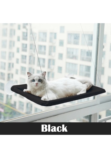 Siyah Stil Sadece Kedi Yatağı Kedi Evi Hamak Pencere Yatak Kediler Için Yastık Asılı Pencere Yatak Battaniye ile Ev Pet Nesk Malzemeleri Köpek Mat Uyku Aksesuarları (Yurt Dışından)