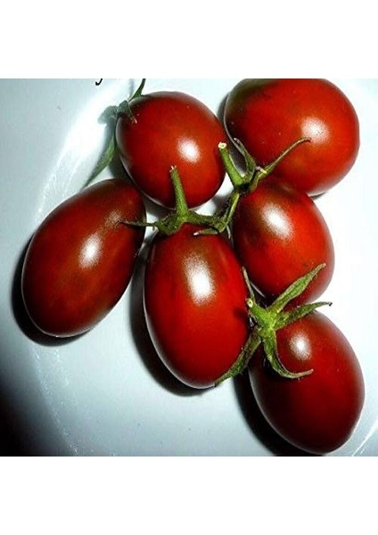 De Barao Black Domates Tohumu (15 Tohum)