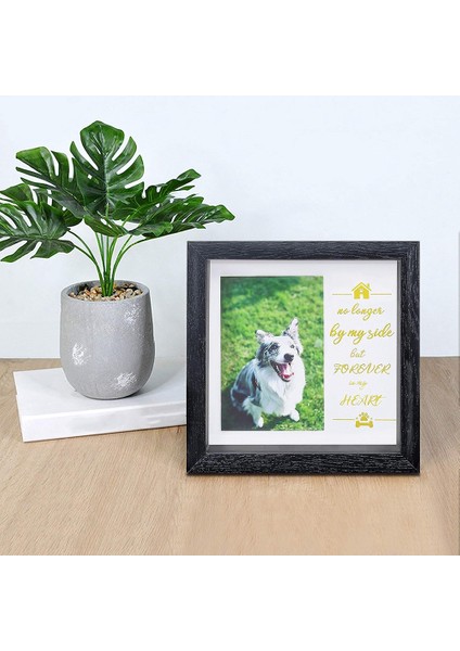 Evcil Hayvan Resim Çerçevesi Anıtı - Köpek Hediyelerinin Kaybı Için Köpek Anıtı Duygu Çerçevesi - Evcil Hayvan Yaka Çerçevesi Anma Siyah (Yurt Dışından) indirimleri