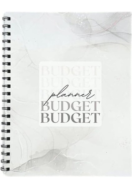 Tarihsiz Aylık Bütçe Planlayıcı - Fatura Düzenleyici ve Gider Takibi ile Finansal Organizatör 12 Aylık Dönem 8.5X11INCH (Yurt Dışından)
