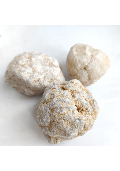 1 Adet Geode Ham Kristal Mineral Kristalleri Doğal Beyaz Taş Taş El Sanatları Koleksiyonu Severler Numune Çalışması Için (Yurt Dışından)
